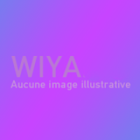 Binti Idouay Ounlwah Abdallah