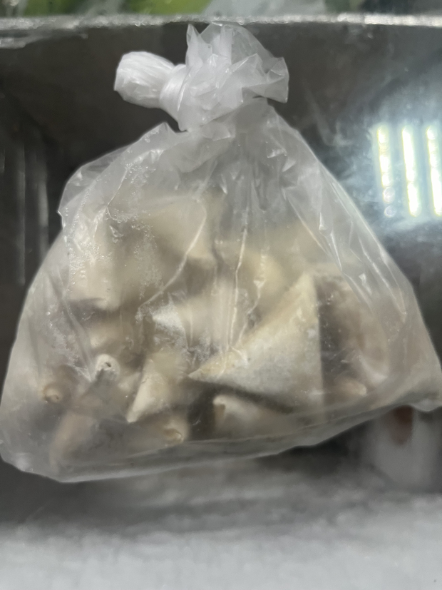 Frozen fish samosa